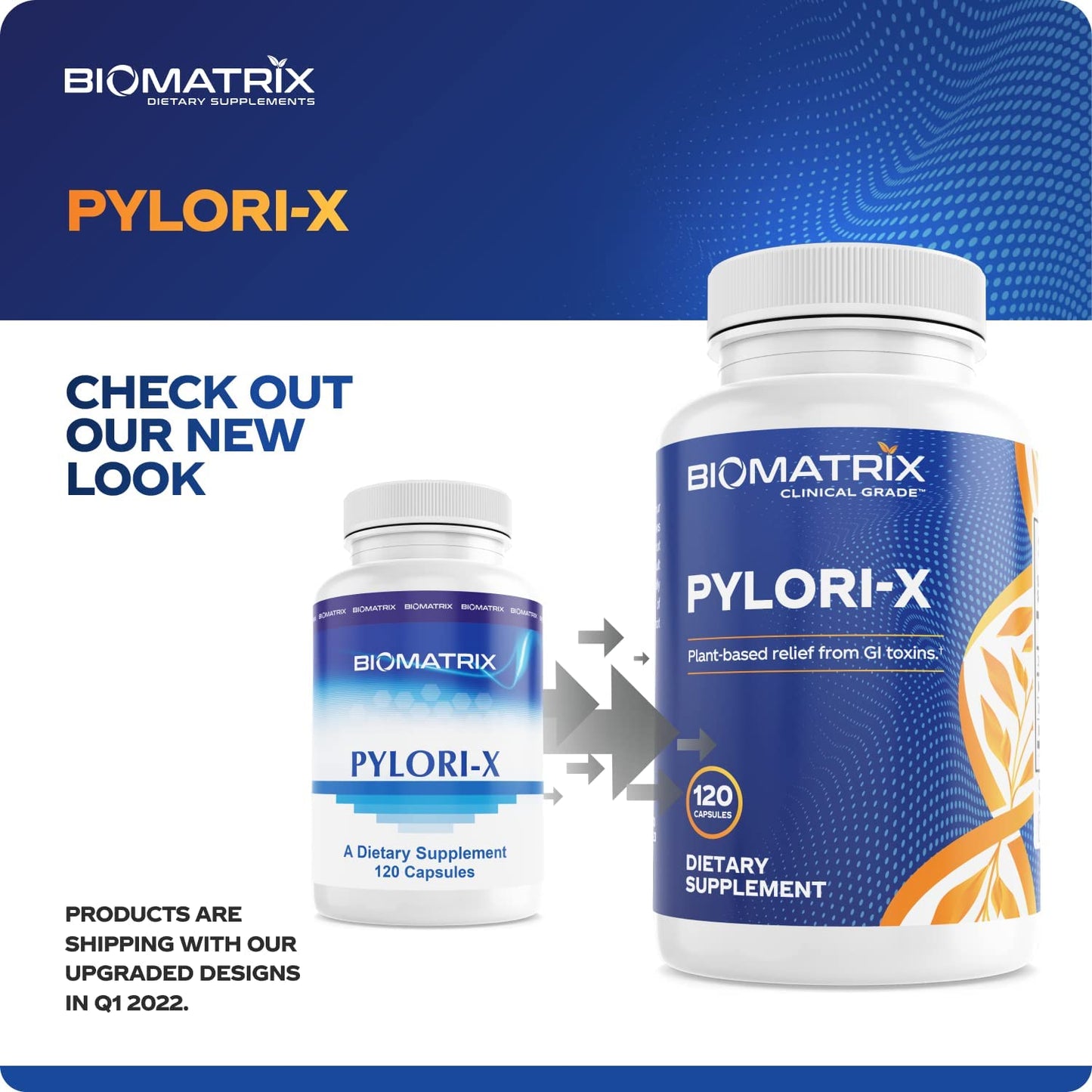 Pylori-X