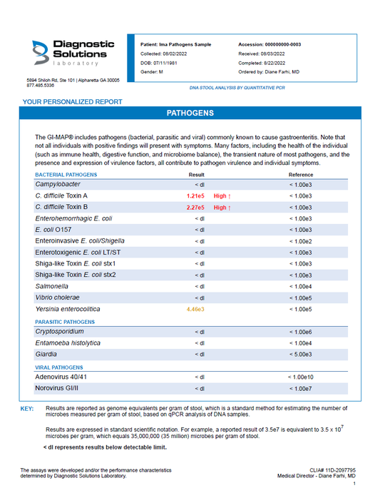 GI Pathogens Profile Lab Test (Includes Interp. + 30 min consult)